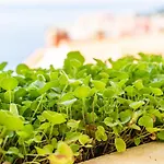 Apartman Bakus Dubrovnik