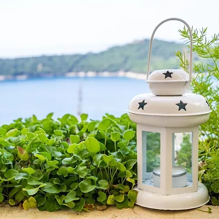 Bakus Apartament Dubrownik